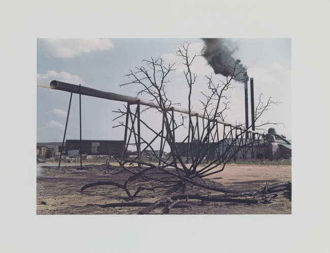 Sawmill at Greensboro Lumber Co., Greensboro, Georgia, June 1941
