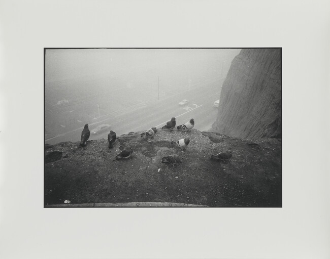 Morning Fog, Highway, Los Angeles