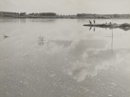 Two boys fishing in the lagoon, Italy