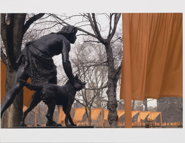 Untitled, Jean Claude and Christo's Gates in Central Park, New York