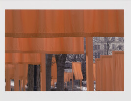 Untitled, Jean Claude and Christo's Gates in Central Park, New York