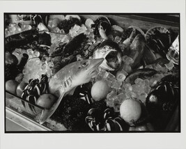 Fish and muscles on ice, Venice, Italy