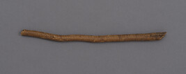 Fragment of a wooden fishhook