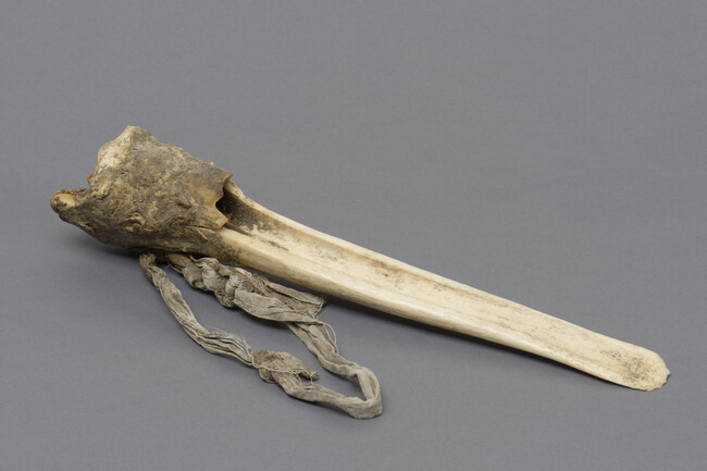 One-handed Scraper made from a Caribou Tibia