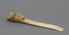One-handed Scraper made from Caribou Tibia