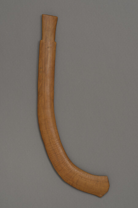 Rabbit stick, a curved throwing stick