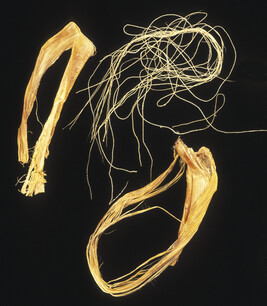 Strips of Caribou Sinew