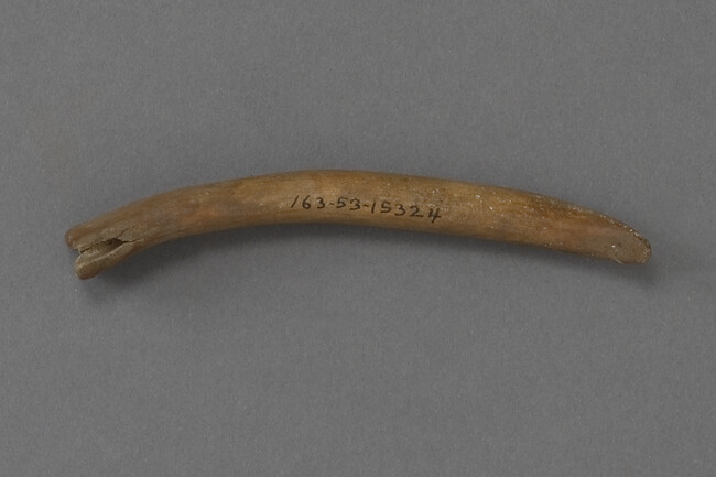 Bone (possibly ivory) Handle (antler?)