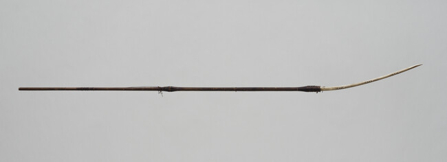 Bird Dart (also called Spear) with Long Curving Barbed Tip