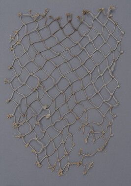 Fragment of a Salmon net