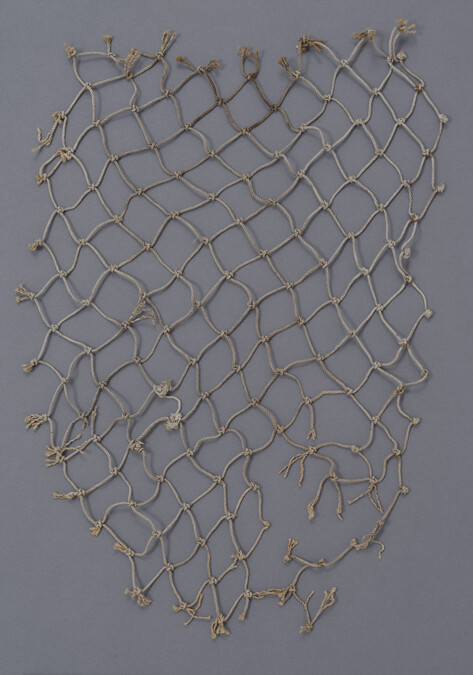 Fragment of a Salmon net