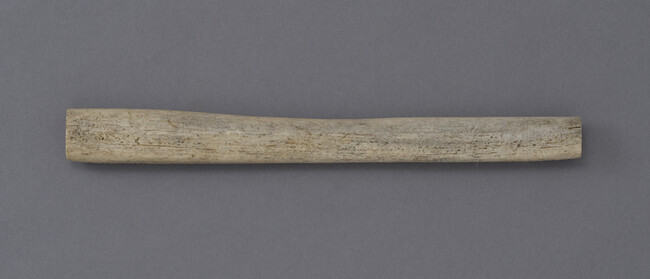 Bone fragment partially rasped off in preparation for tool making