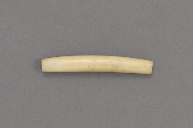 Ivory Tube for Needle Case