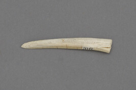 Fragment of Bone, White, Split