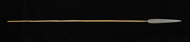 Iron Tipped Spear with Wood Shaft