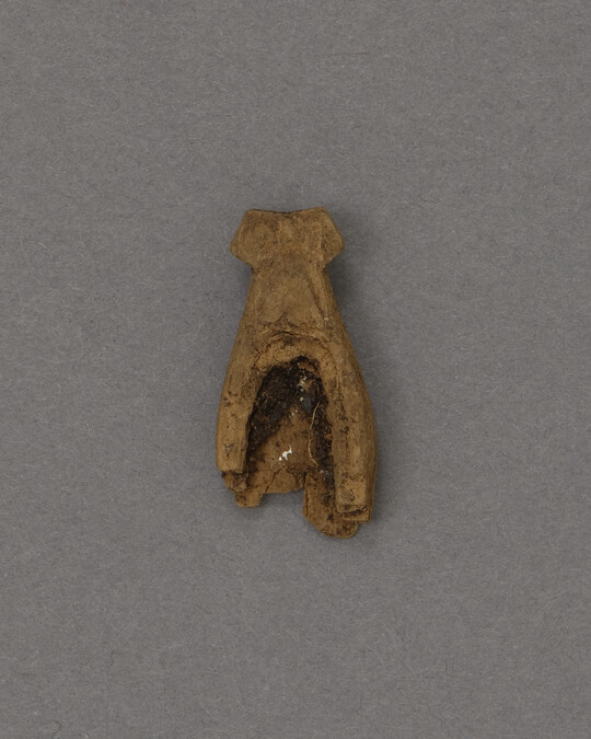 Fragment of Wood Seal