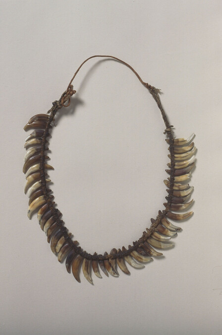 Dog Tooth Necklace