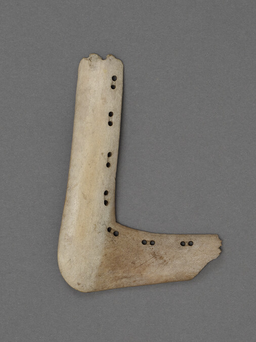 Flat Bone at Right Angle Lined With Sets of Two Holes