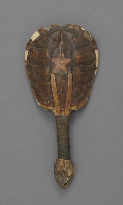 Alternate image #2 of (Restricted Object) Turtle Shell Rattle