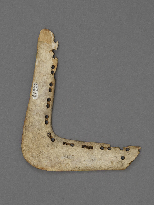 Flat Bone at Right Angle Lined with Sets of Two Holes