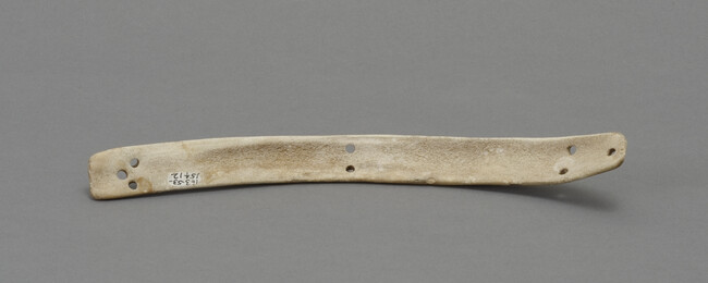 Bone Fragment, Curved, Several Large Holes