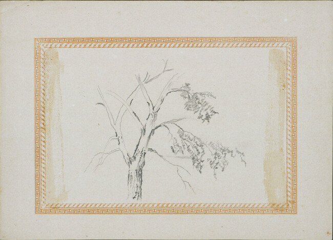 Untitled (Study of Tree Branches)