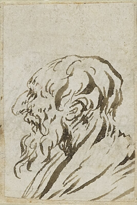 Bearded Man in Profile