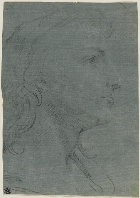 Portrait in Profile