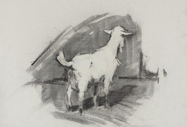 Untitled (Goat)