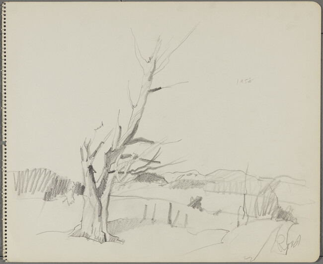 Untitled (Landscape with Barren Tree)