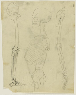 Skeletal Study for Gods of the Modern World (Panel 15) for The Epic of American Civilization