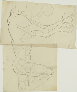 Study of Arm for The Pre-Columbian Golden Age (Panel 6) for The Epic of American Civilization