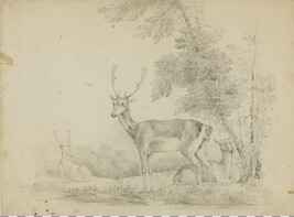 Three Deer in Landscape