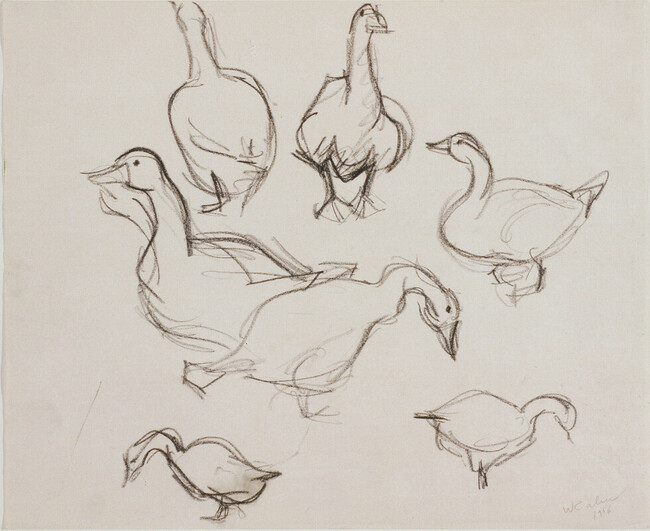 Studies of Geese