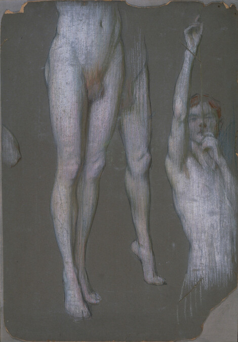 Fragmentary Studies of a Male Nude