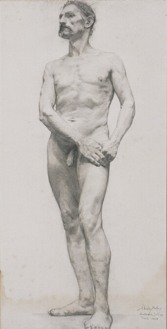 Standing Male Nude