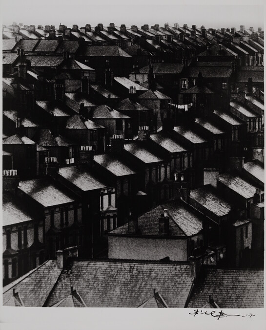 Rainswept Roofs