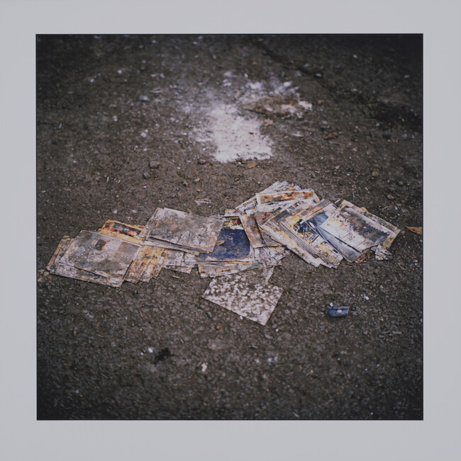 Photographs Damaged by Floodwater Dry Out in the Rocklea Suburb of Brisbane, Australia, 2011, from the portfolio Drowning World