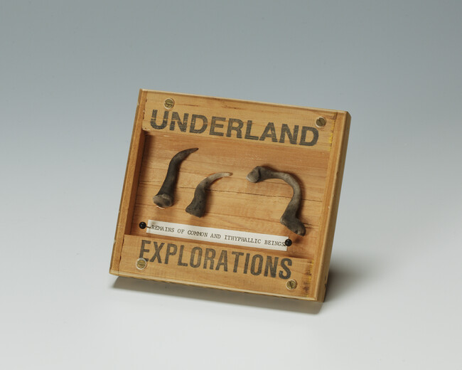 Underland Explorations, Remains of Common and Ithyphallic Beings