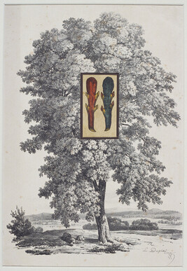 Untitled (tree): Orpheus and Eurydice