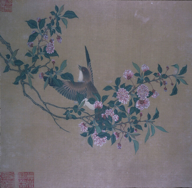Bird on Pink Flowering Branch