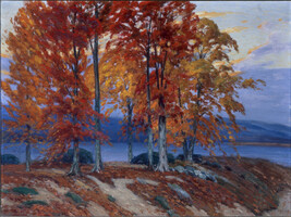 Autumn Trees at Lake Sunapee