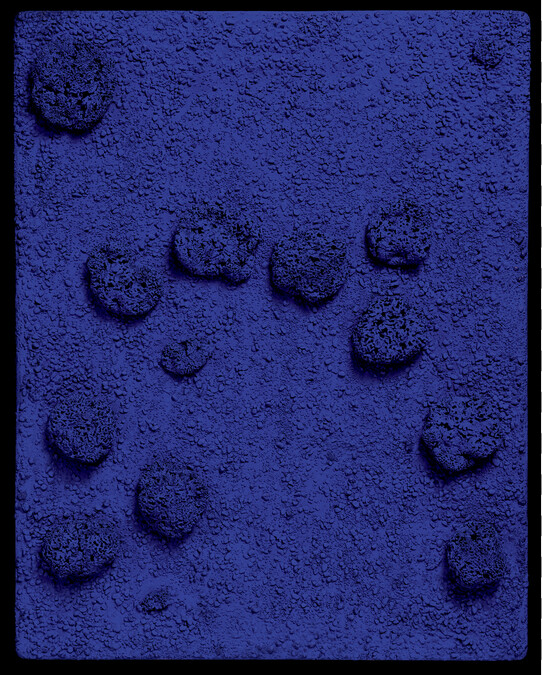 Blue Monochrome Sponge Relief (RE24)