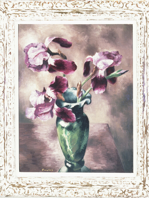 Purple Iris