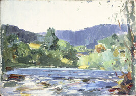 The Beaverkill River