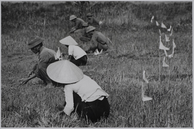 Soldiers and civilians clear the minefield in Kurangchi Province, Vietnam