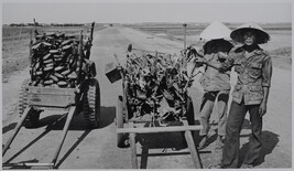 Viet Cong soldiers collecting weapons (right panel of panorama)