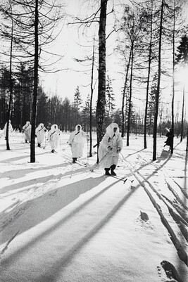 Siberian Ski Troops