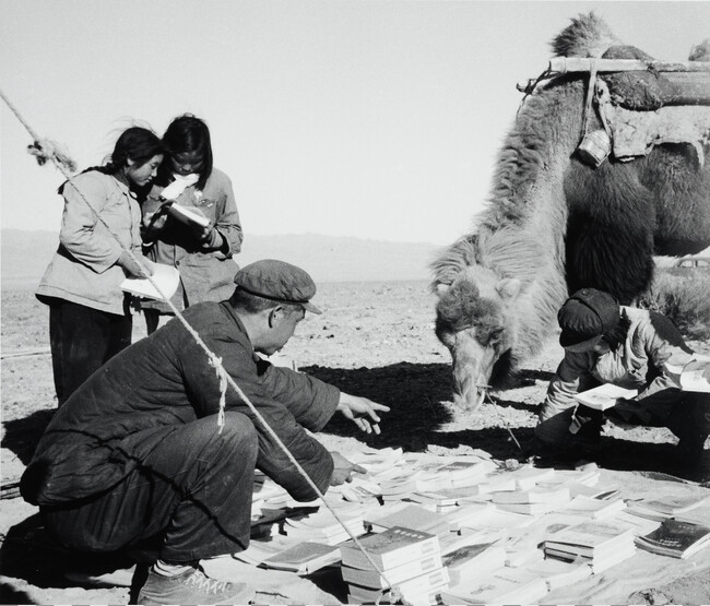 Desert bookseller has a camel for a customer, China