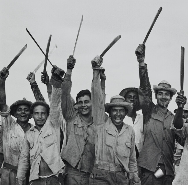 Sugarcane workers with machetes, Cuba